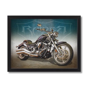 Obraz  Yamaha Raider